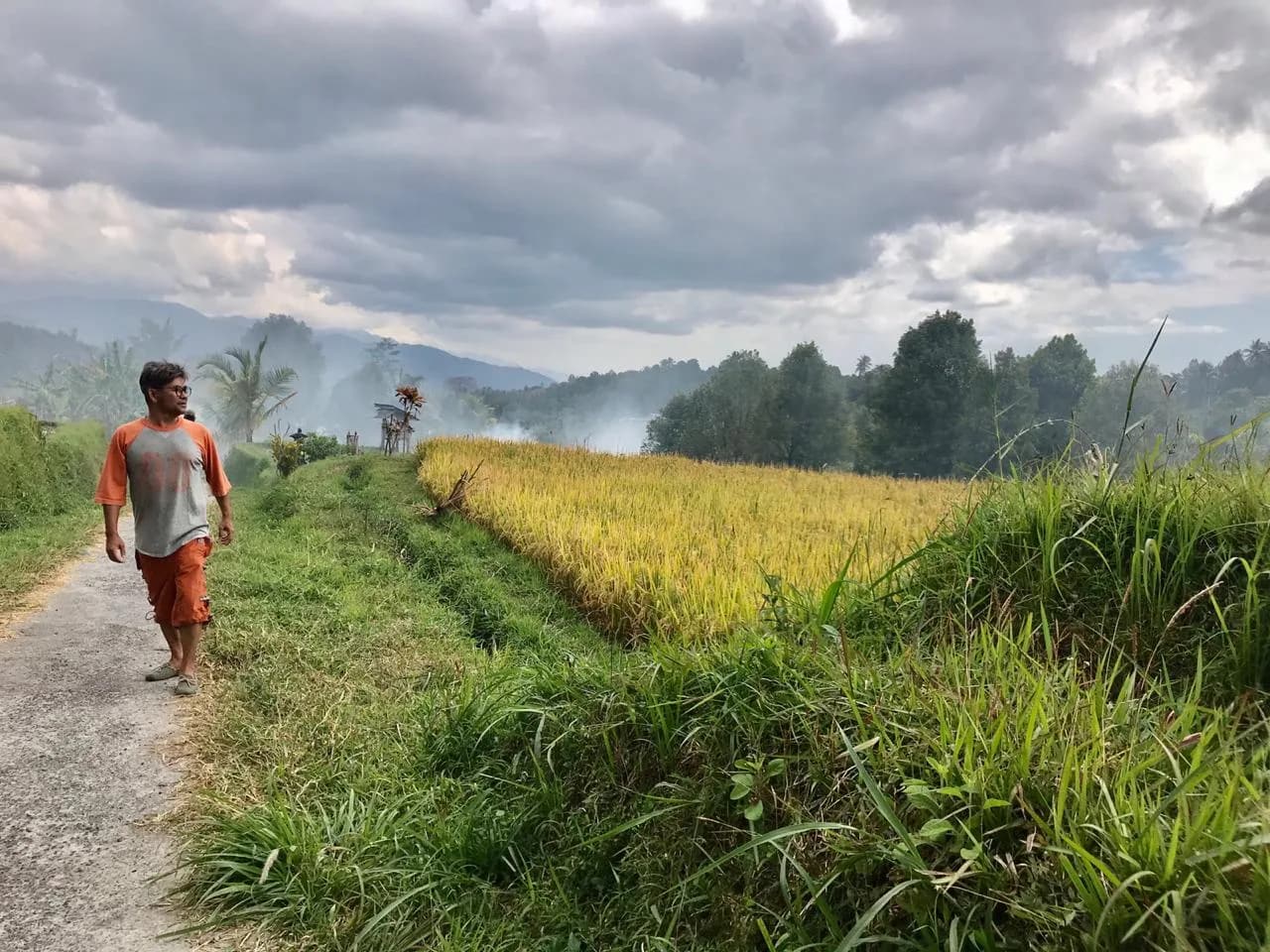 Mt. Lesung Rain Forest Trekking