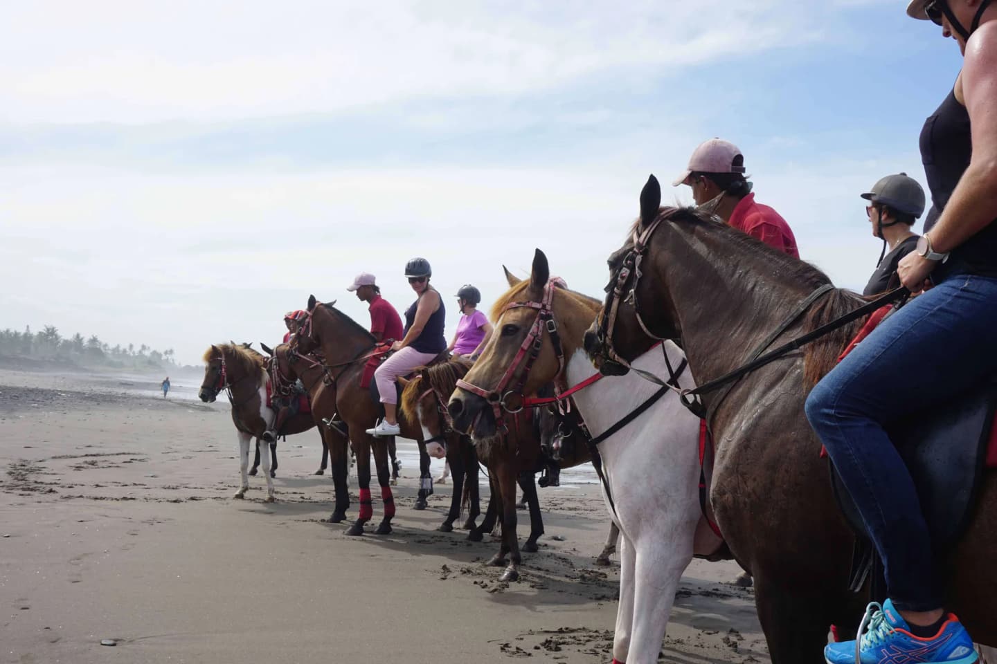 Long Ride Horse Riding