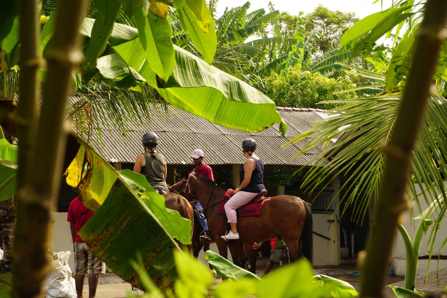 Short Ride Horse Riding
