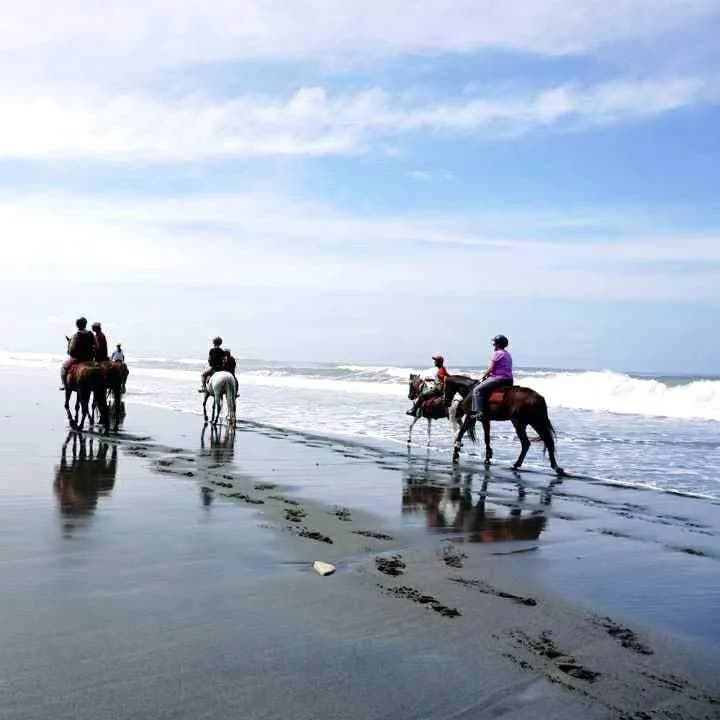 30 Minutes Horse Riding